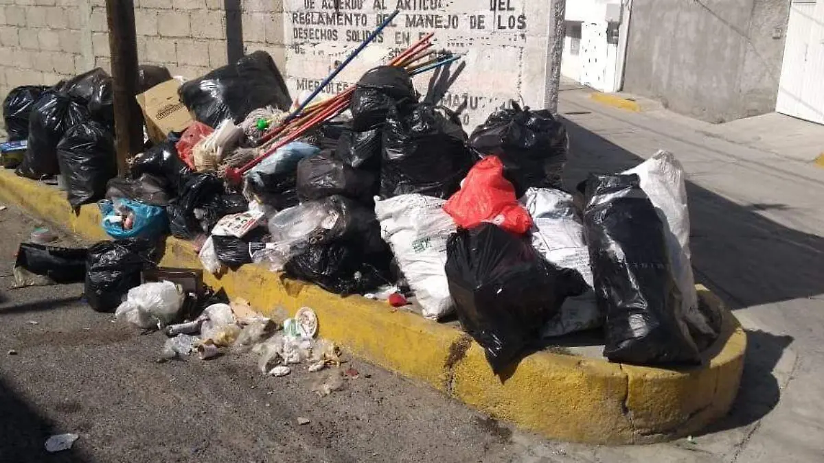 BASURA08 (1)